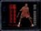 SCOTTIE PIPPEN 1994-95 HOOPS BIG NUMBERS BLUE/RED FOIL