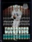DAN MARINO 2024 PANINI MOSAIC TOUCHDOWN MASTERS GREEN PRIZM