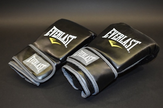 NEW EVERLAST Boxing Gloves