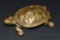 Solid Brass Turtle Pill Box Figurine