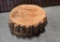 Large Wood Slice / Slab