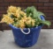 Plastic Tub Full of Artificial Plants