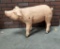 Life Size Fiberglass Pig Statue