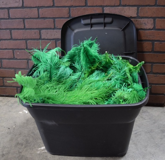 Plastic Tote Full of Green Feathers