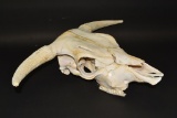 Skull With Horns