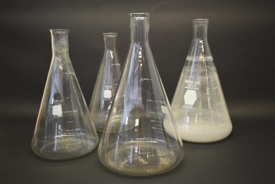 4 Glass Erlenmeyer Lab Flasks