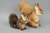 2 Stuffed Eurasian Red Squirrels