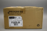 Progress Lighting Inspire Collection 2-Light Semi-Flushmount