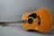 Electric Acoustic Guitar