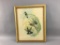 Vintage Petasophora Framed Art Print
