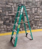 Werner 6ft Fiberglass Ladder