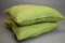 2 Solarium Decorative Throw Pillows