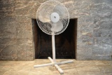 Pedestal Fan