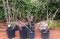 8 Large Plumeria Potted Plants