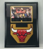 Chicago Bulls World Champions Michael Jordon Autographed Photo