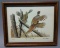 Artist Proof Pheasants By Dave Chapple Framed Lithograph