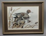 1986 Limited Edition Pintails-Bachelors By Sherrie Russell Duck Art Framed Lithograph