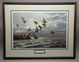 Framed Windswept Marsh Canvasbacks By David A Mass Duck Art Lithograph