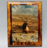 Elk Photograph Rustic Wall Plaque