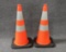 2 Traffic Safety Cones