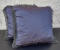 2 Decorative Pillows