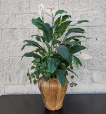 Large Artificial House Plant With Vase