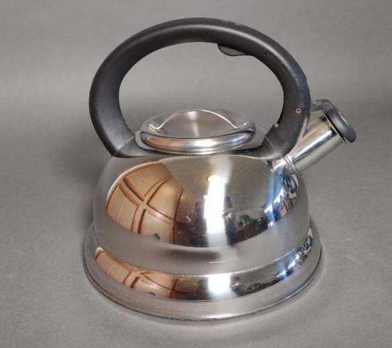 Stainless Steel Tea Kettle