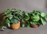 2 Artificial House Plants