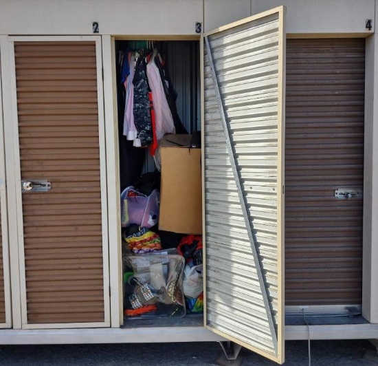 The Entire Contents Of A 4ft X4ft X8ft Storage Unit (North Island C11 Door 3)