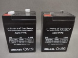 2 6V Batteries