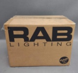 RAB Lighting LED Light Fixture