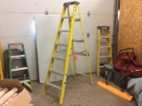Davidson 7' fiberglass step ladder.