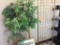 Artificial tree; rack & 2-picture frames.