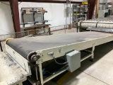 4' x 12' outfeed conveyor (Out of End Matcher).