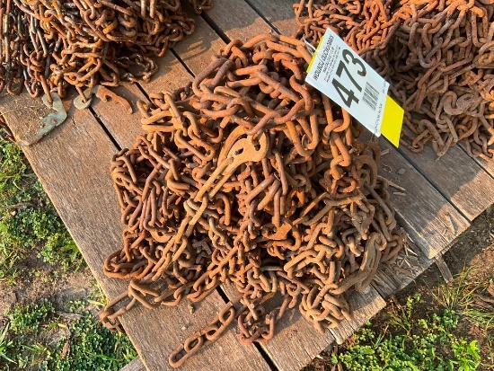 Pair of double truck chains.