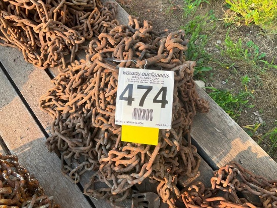 Pair of double truck chains.