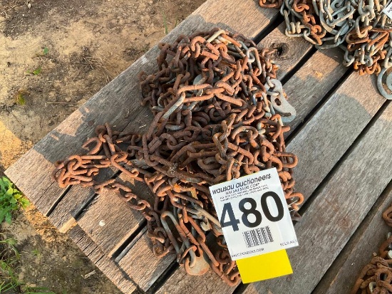 Pair of single truck chains.