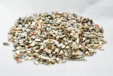 10.2oz Loose Mother Of Pearl Pieces