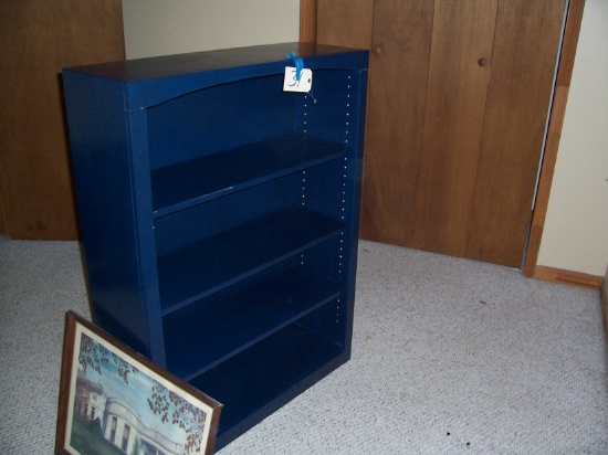 Bookcase, picture, aquarium stand