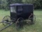Amish Market Buggy