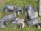 group of 6 pairs of rubber boots and 1 set of chest waders