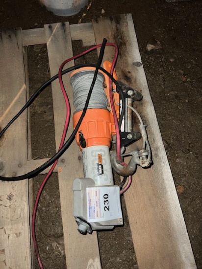 12 V winch