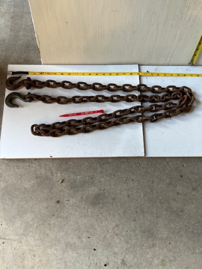 Chain 10' with 2 hooks