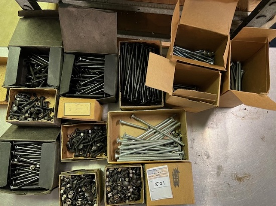 Carriage Bolts Lot