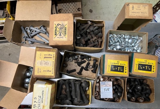 Carriage Bolt Lot