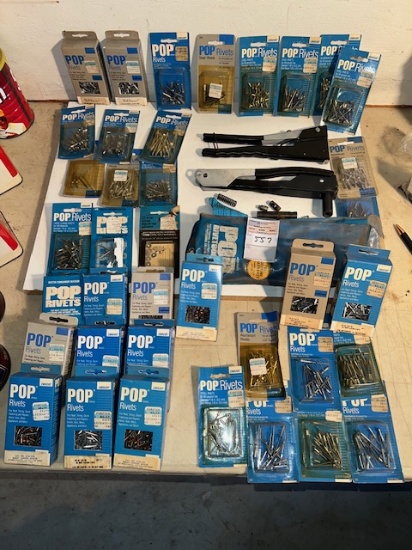 Rivet Gun and Assorted Rivets
