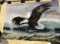 Eagle wall hanger