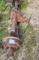 rear differential