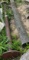 metal and wood post