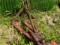 rock rake 3 point 6 ft